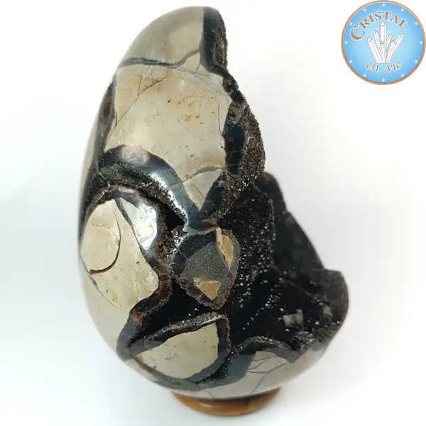 Eivormige geode van wilde Septaria, ook wel Drakensteen genoemd. Natuurlijke gekristalliseerde steen. n2