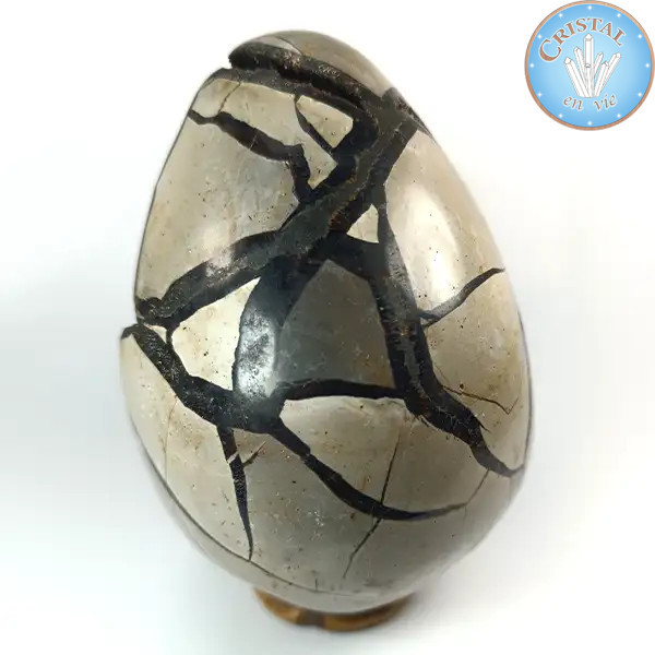 Eivormige geode van wilde Septaria, ook wel Drakensteen genoemd. Natuurlijke gekristalliseerde steen. n2