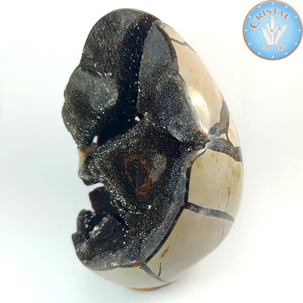 Geoda en forma de huevo de Septaria salvaje, llamada Piedra de Dragón. Piedra natural cristalizada marrón, beige y amarillo n2