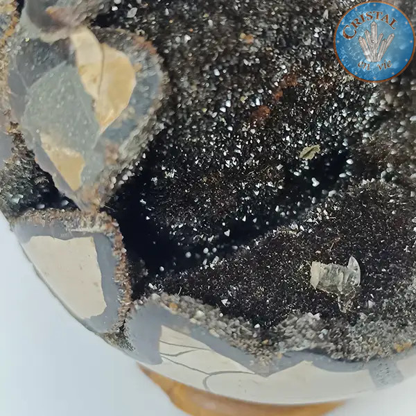 Eiförmige Geode aus wilder Septarie, auch Drachenstein genannt. Naturstein mit kristallisierter. Braun, Beige und Gelbtönen. n2