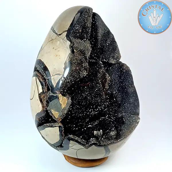 Eivormige geode van wilde Septaria, ook wel Drakensteen genoemd. Natuurlijke gekristalliseerde steen. n2