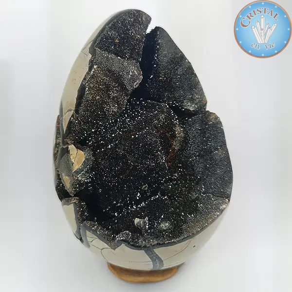 Geode a forma di uovo di Septaria selvatica, detta Pietra del Drago. Pietra naturale cristallizzata marrone, beige e giallo. n2