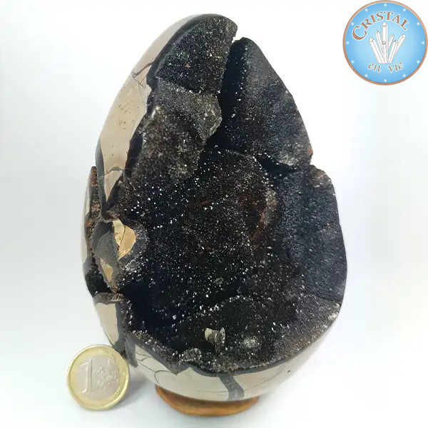 Geode a forma di uovo di Septaria selvatica, detta Pietra del Drago. Pietra naturale cristallizzata marrone, beige e giallo. n2