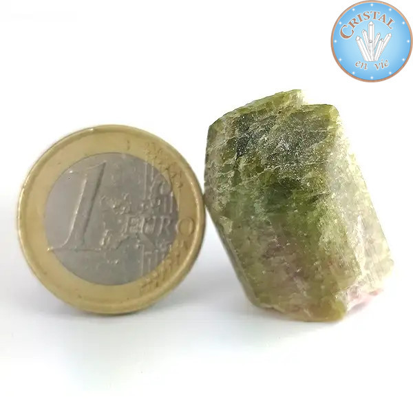 Natürlicher roher Wassermelonen-Turmalin-Kristall - Rosa-grüner Wassermelonen-Turmalin. Nr. 10