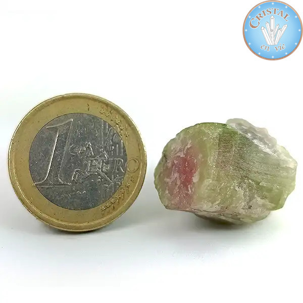 Cristal bruto natural de Turmalina Sandía - Piedra de Turmalina Sandía rosa y verde. Nº 11