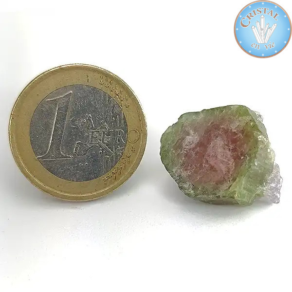 Cristal brut naturel de Tourmaline Water Melon - Tourmaline Melon d'eau - Pierre rose et verte. n14