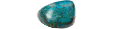 Chrysocolle